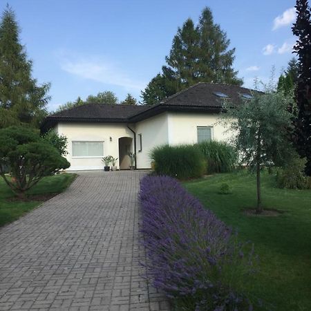 Studiovy Apartman V Zahrade Police nad Metují Dış mekan fotoğraf