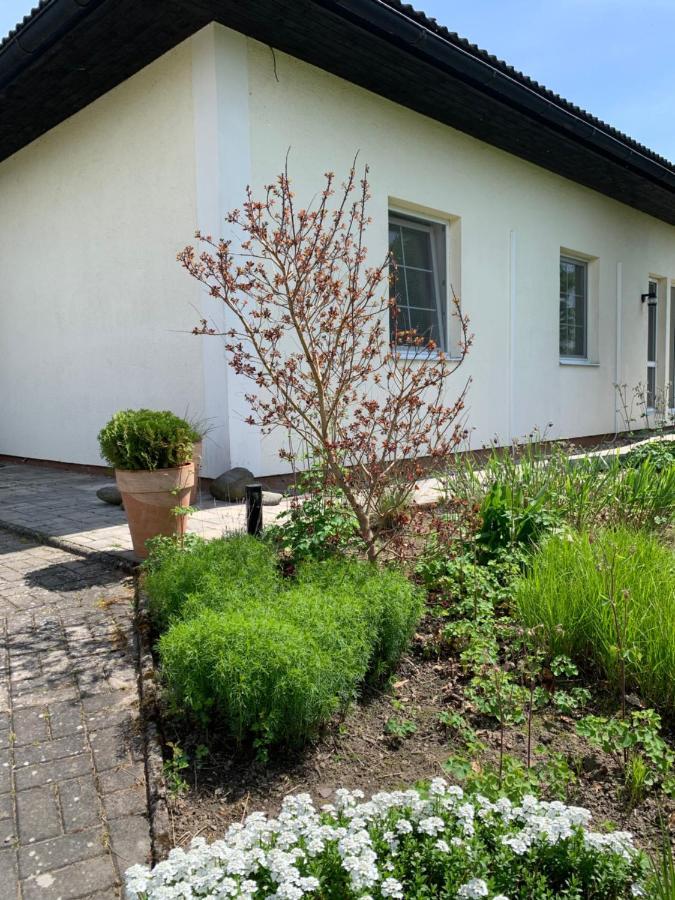 Studiovy Apartman V Zahrade Police nad Metují Dış mekan fotoğraf